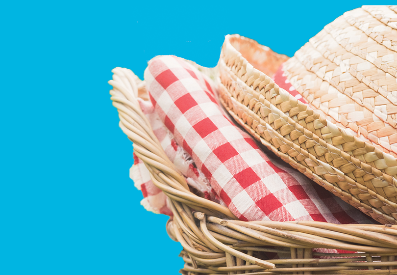 Read more about the article The Handy Toolkit for a Healthier Company Picnic