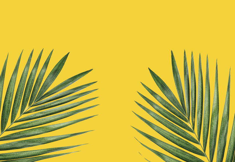 You are currently viewing Summer Sun Essentials Guide
